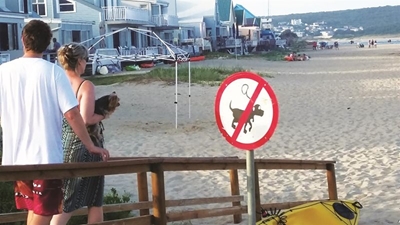 Dogs not allowed on beaches