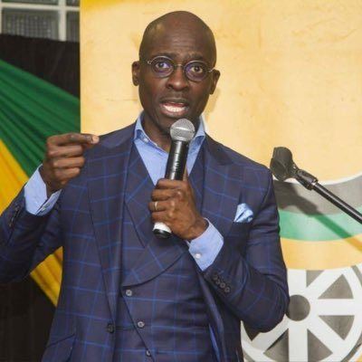 Gigaba violated ethics code in Gupta naturalisation case, says Public Protector