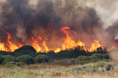 Moenie 'n brandstigter wees nie