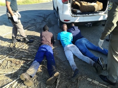 4 armed poachers nabbed at Tugela South