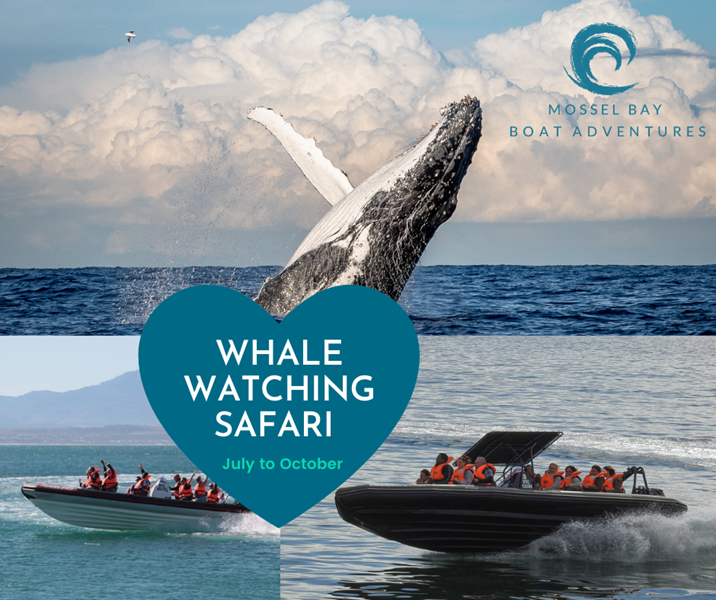WIN A MOSSEL BAY BOAT ADVENTURES SPEED BOAT TRIP