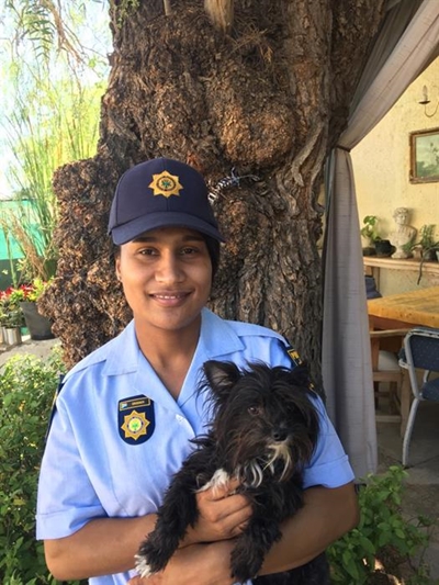 Dog reunited with owner