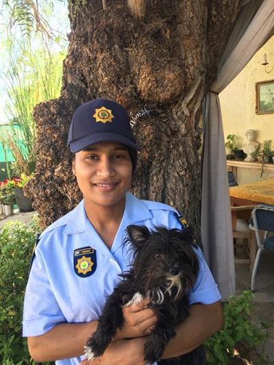 Dog reunited with owner