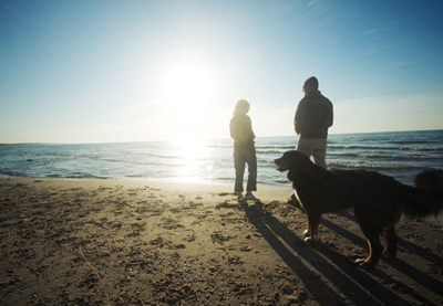 Beaches for dogs in Sedgefield