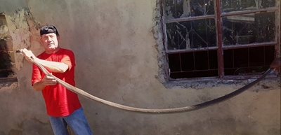 Snake catcher bags the biggest black mamba of his career