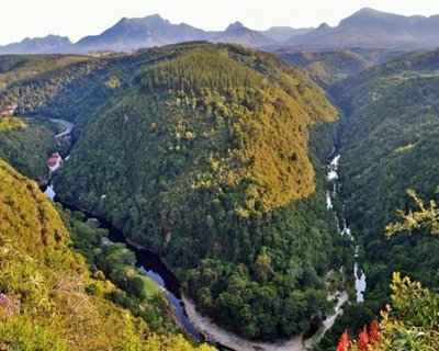 Things to do in George and surrounds