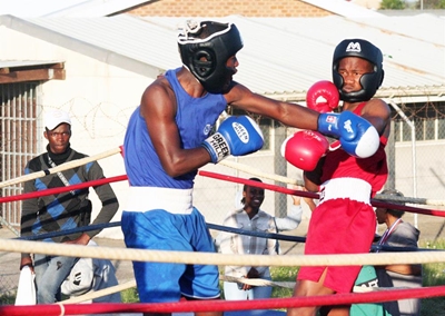 George boxing clubs host tournament