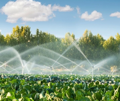 Harvesting ‘grey water’ for drip irrigation 