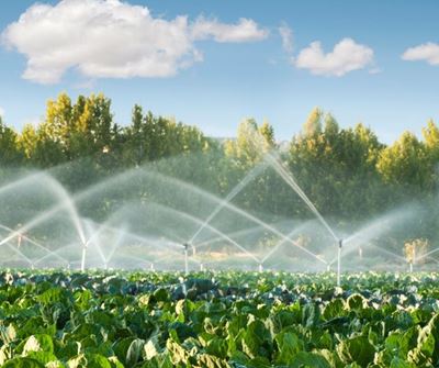 Harvesting ‘grey water’ for drip irrigation 