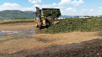Coca-Cola invests R25m towards Hartbeespoort hyacinth removal