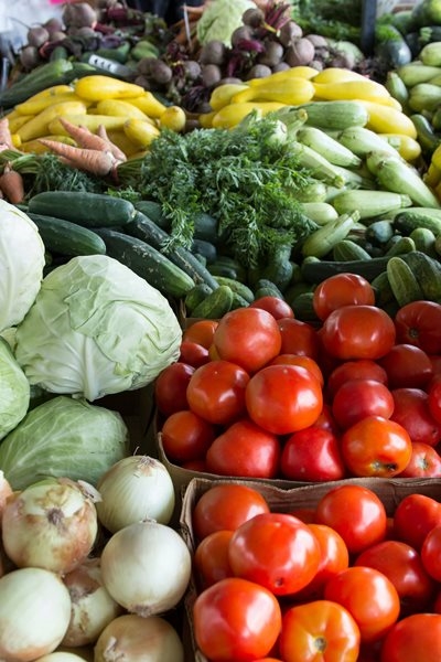 ‘Unfair’ trade bans threaten agriculture jobs in South Africa