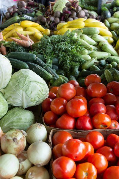 ‘Unfair’ trade bans threaten agriculture jobs in South Africa