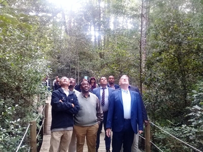 Tsitsikamma Gateway Project biggest tourism infrastructure investment