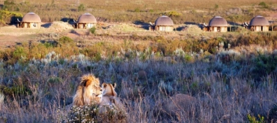 Prestigious award for Gondwana Game Reserve