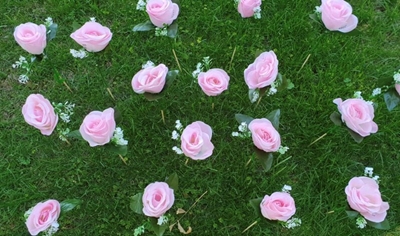 Get ready for beautiful rose project