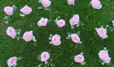 Get ready for beautiful rose project