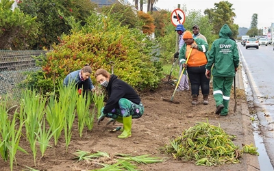 Knysna's green revival