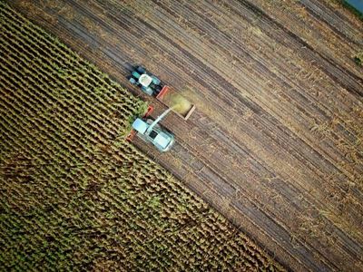 Didiza outlines plan to support agriculture
