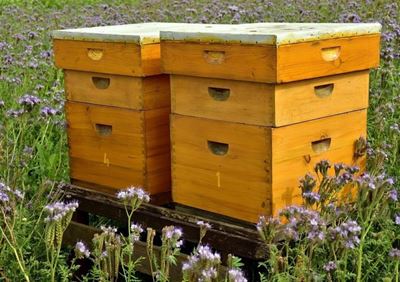 Gardeners getting together on Sunday