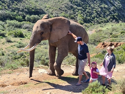 Walk with elephants at Indalu Game Reserve