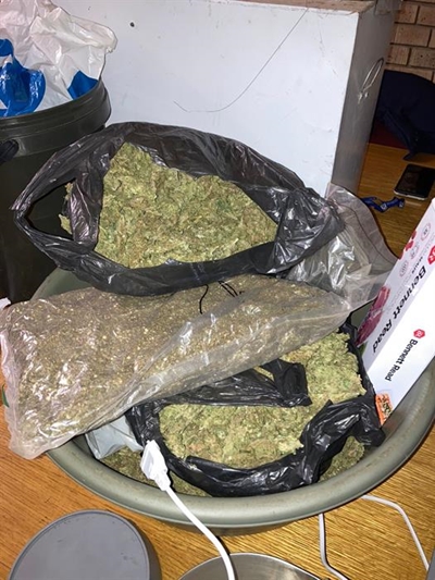 Pops make big dagga find