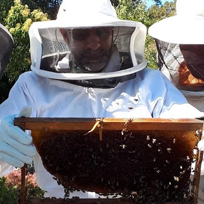 New Hope For Honey centre a hive of activity