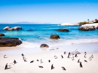 5 most Instagrammable places to visit in Cape Town (after lockdown)