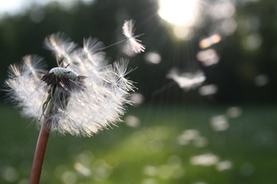 Be cautious with fires in the windy weather