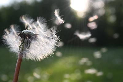 Be cautious with fires in the windy weather