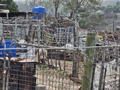 14 dae om plaasdiere uit woonbuurt te verwyder