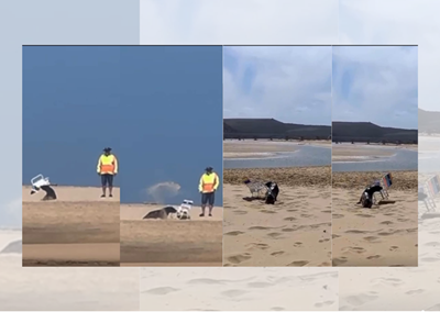 VIDEO: Potentially rabid seal euthanised at Little Brak River, Mossel Bay