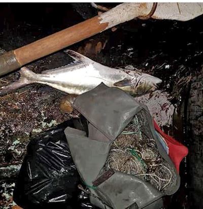 2 men nabbed for illegal netting of fish