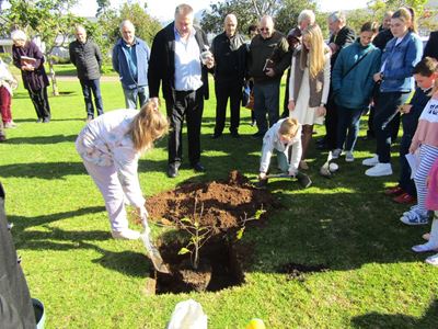 Boom van hoop by NGK geplant