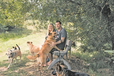 New NPO cares for abused animals