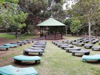 Man fatally injured during tree removal at park 
