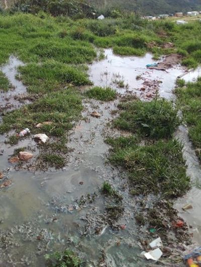 Sewage spill in New Rest