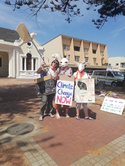 Thunberg wave makes ripples in George