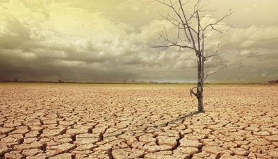 Zille asks Zuma to declare Cape Town water crisis a national disaster