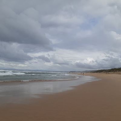 Weather: Light rain along the coast