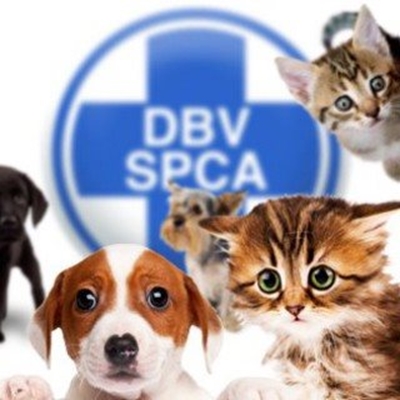 Animal welfare: Lottery funding dries up