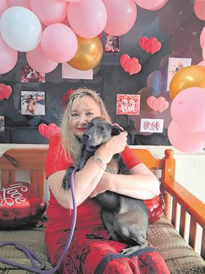 Vrydag die 13de bring geluk vir rondloperhond by DBV