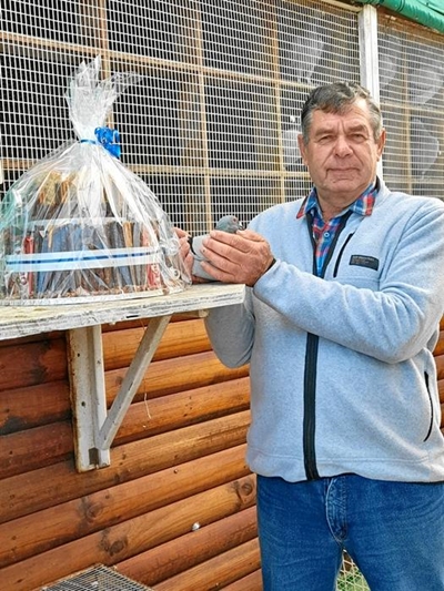 Mollentze en Chapmar se duiwe presteer vanaf Hopetown