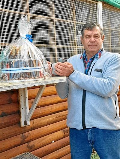 Mollentze en Chapmar se duiwe presteer vanaf Hopetown