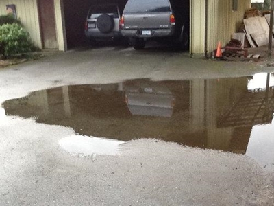 Signs of damp you shouldn't ignore