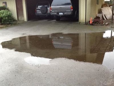 Signs of damp you shouldn't ignore