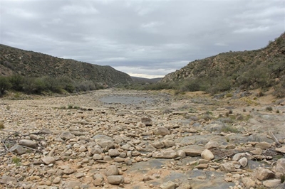 Government urges citizens to save water