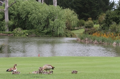 How will the stricter water restrictions affect your household?