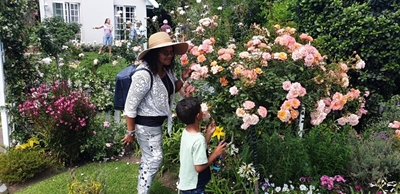 Open Gardens make for stunning viewing