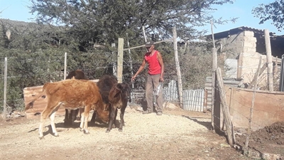 Kleinboere vrees groot verliese
