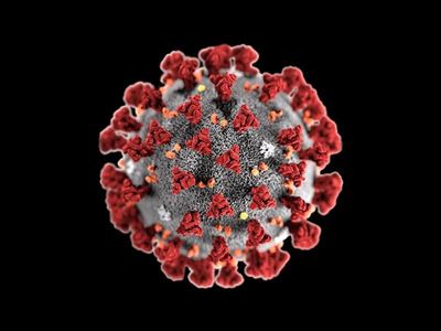 43% decline in new Covid-19 cases in Garden Route